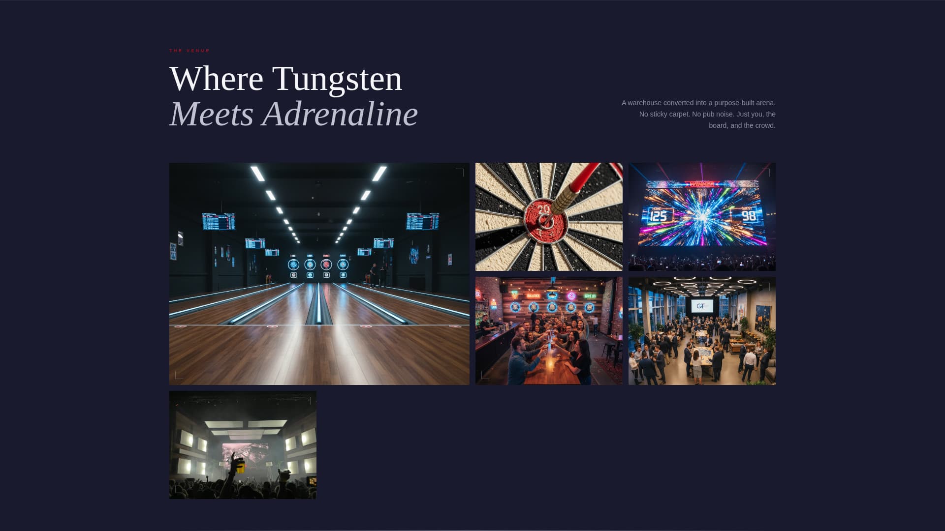 Darts Booking Website Template