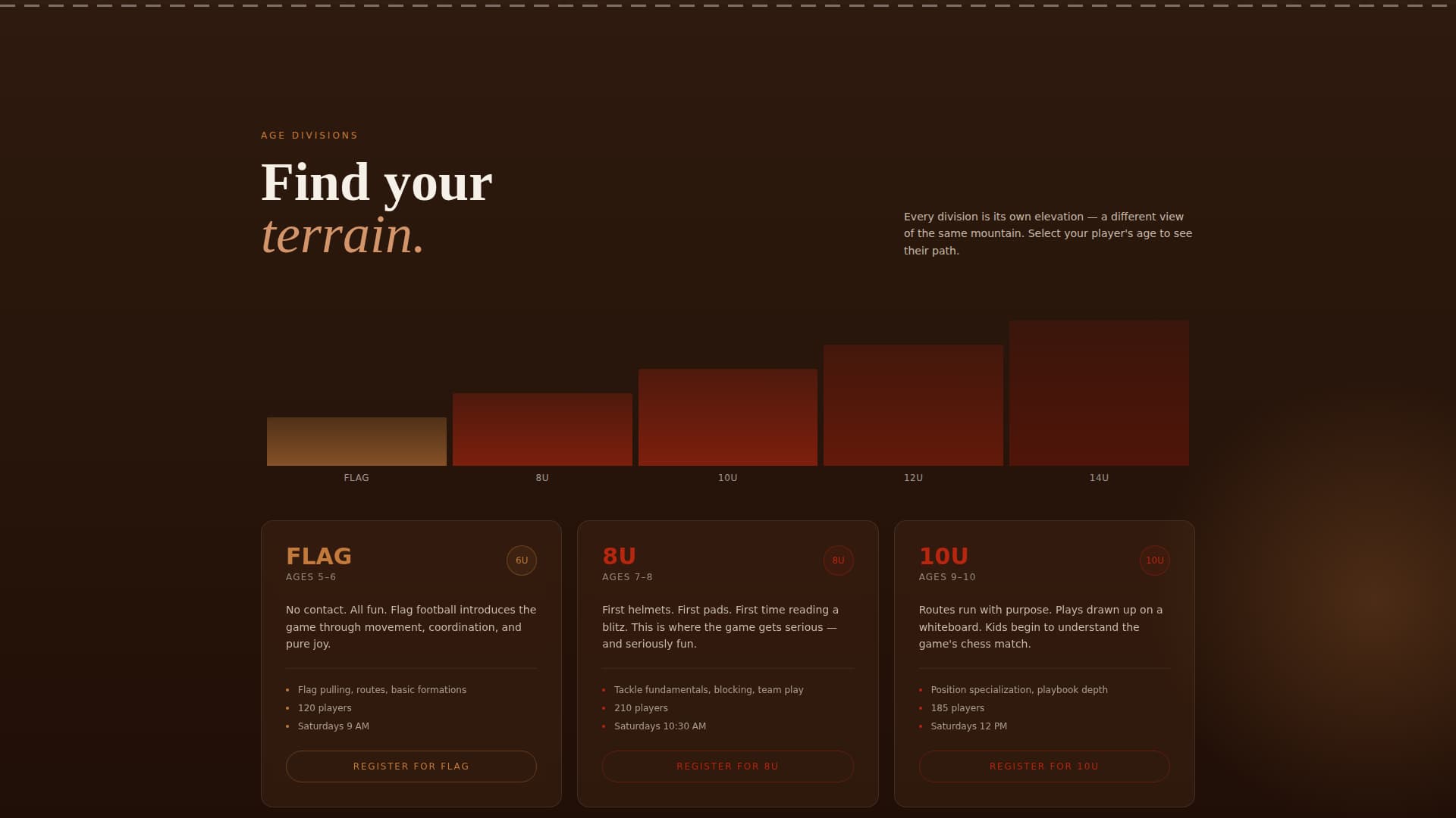 Football (American) Leagues Professional Website Template