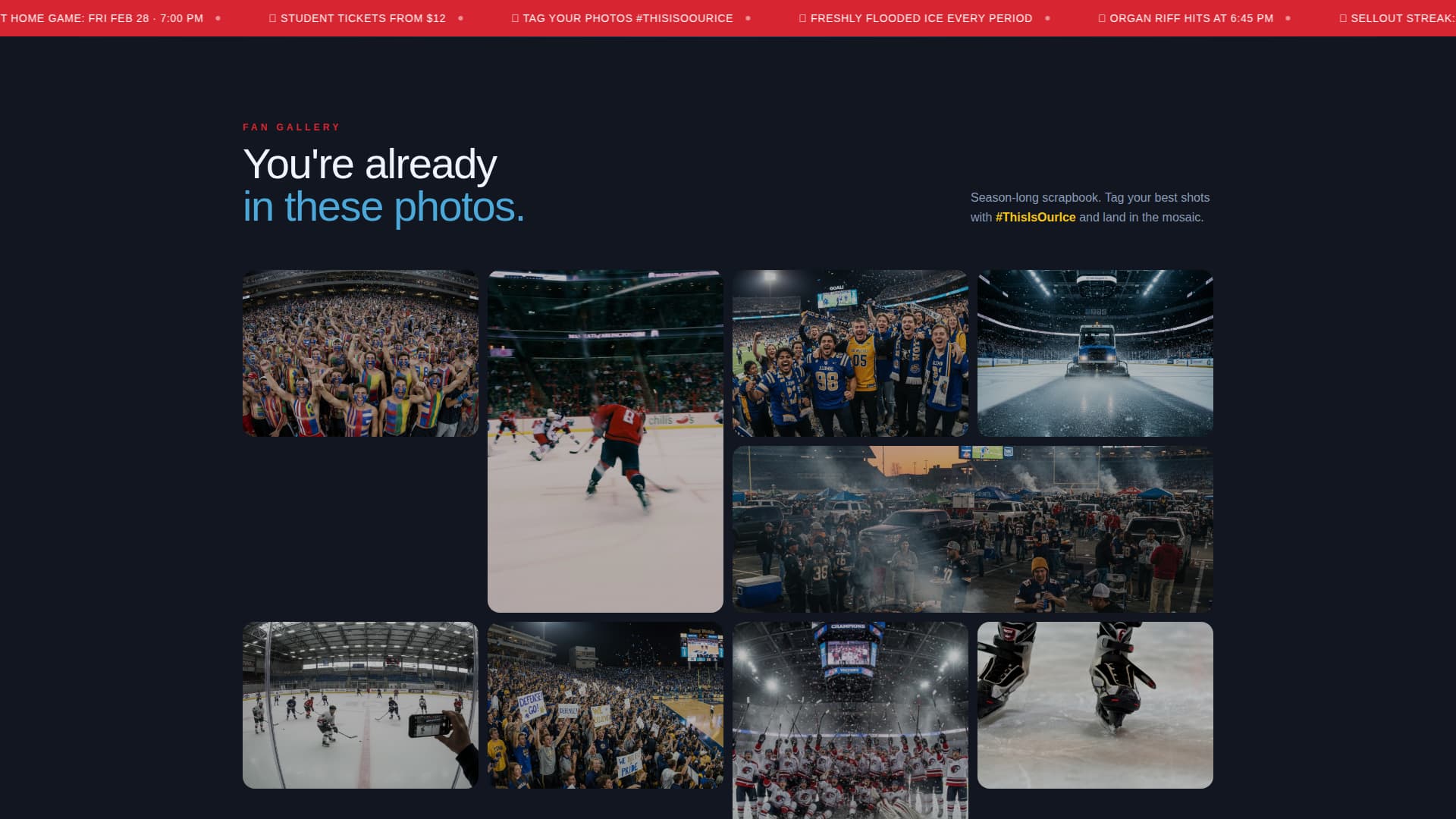 Ice Hockey Leagues Advanced Professional Website Template