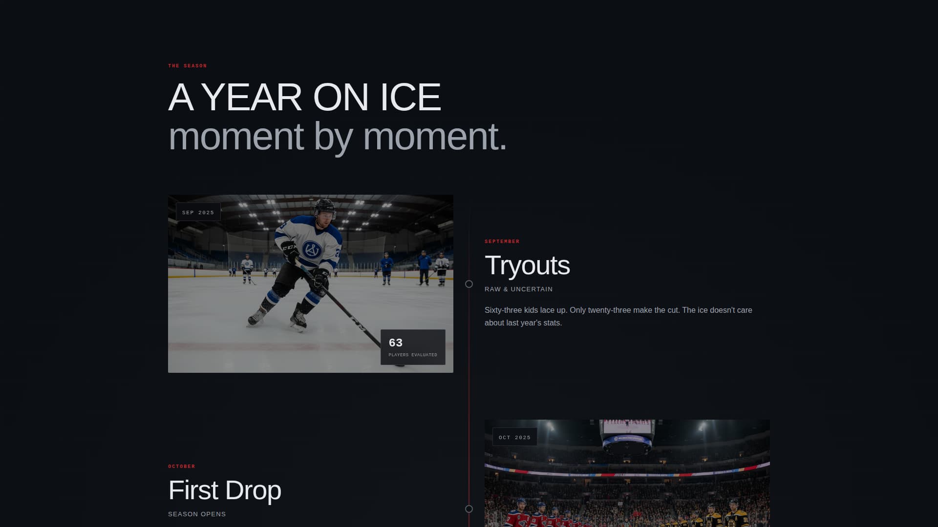 Ice Hockey Leagues Expert Professional Website Template