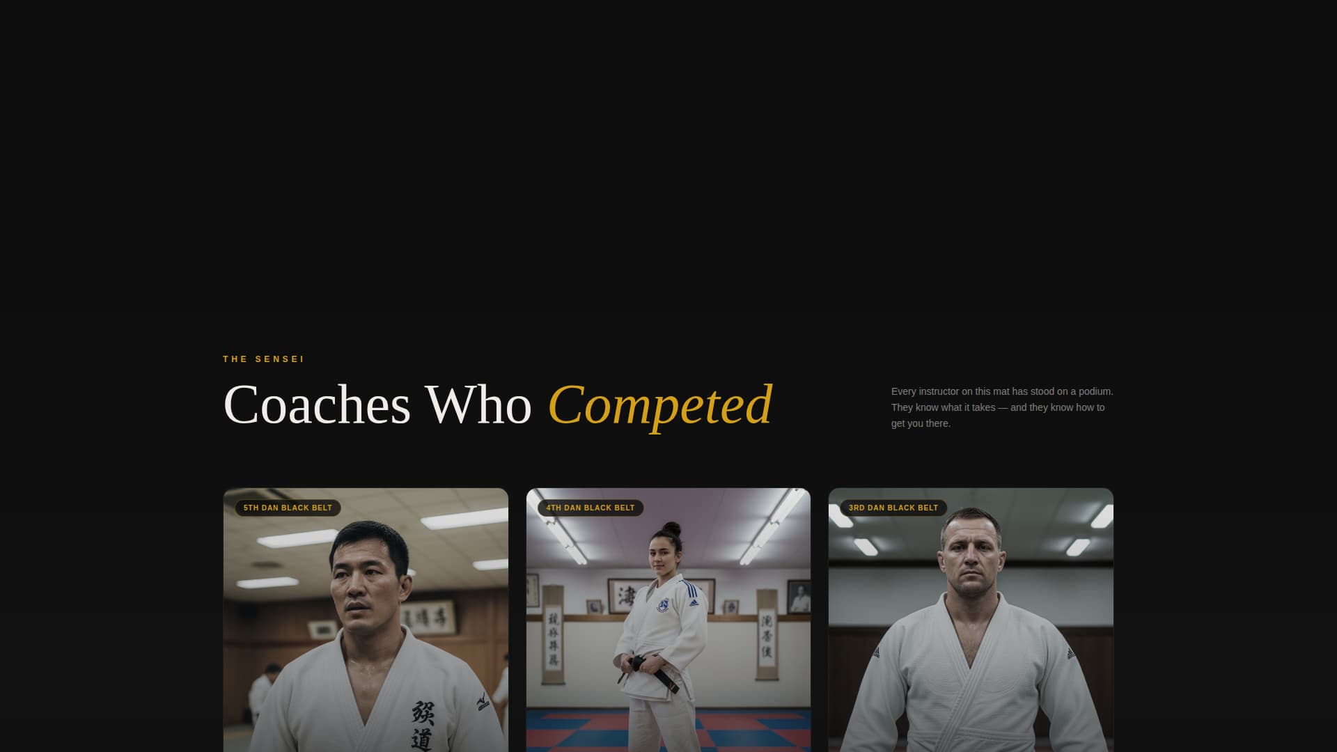 Judo Professional Website Template