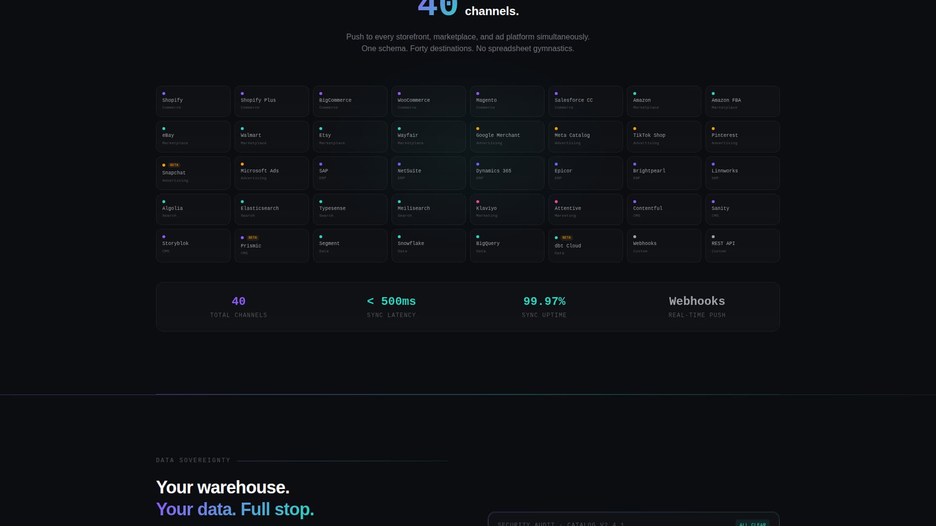 Self-Hosted Enterprise Software Specialist Professional Website Template