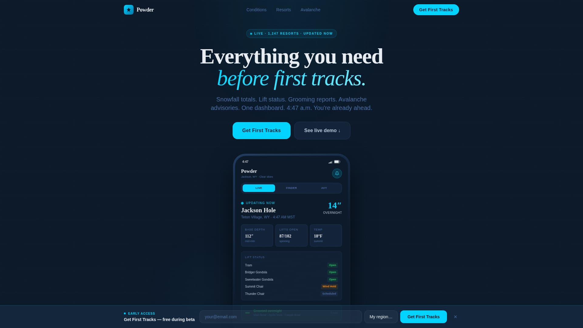 Consumer App & Platform Professional Website Template