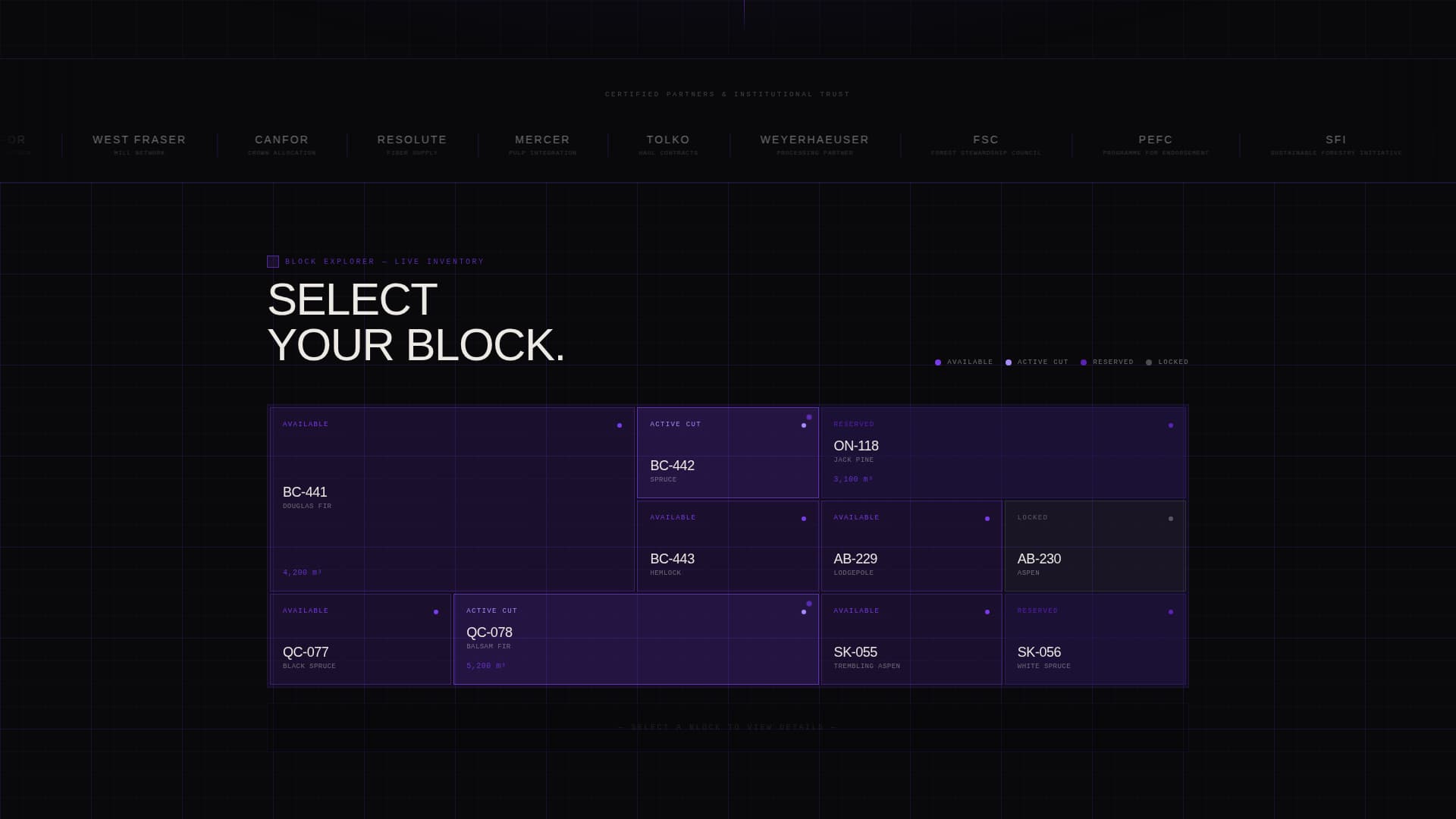 Timber - Brutalist Forestry Landing Page Template
