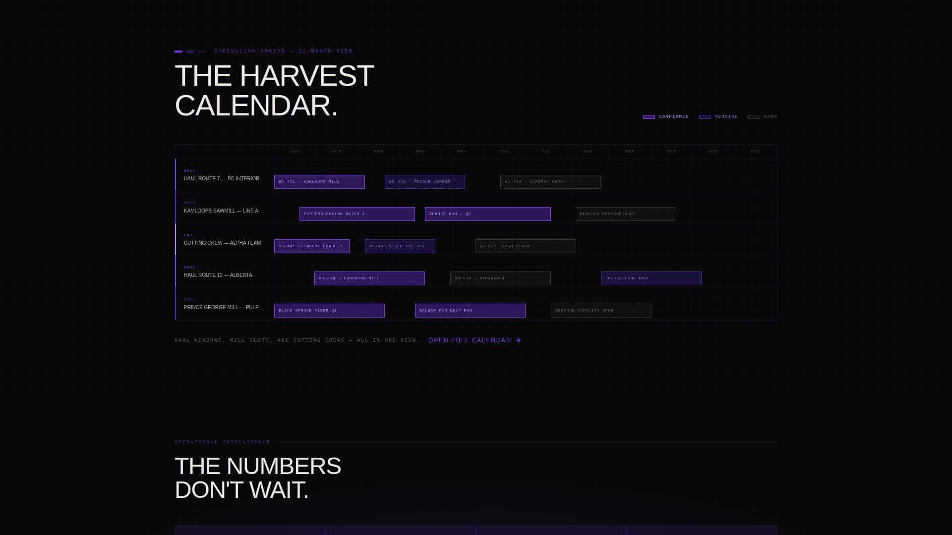 Timber - Brutalist Forestry Landing Page Template
