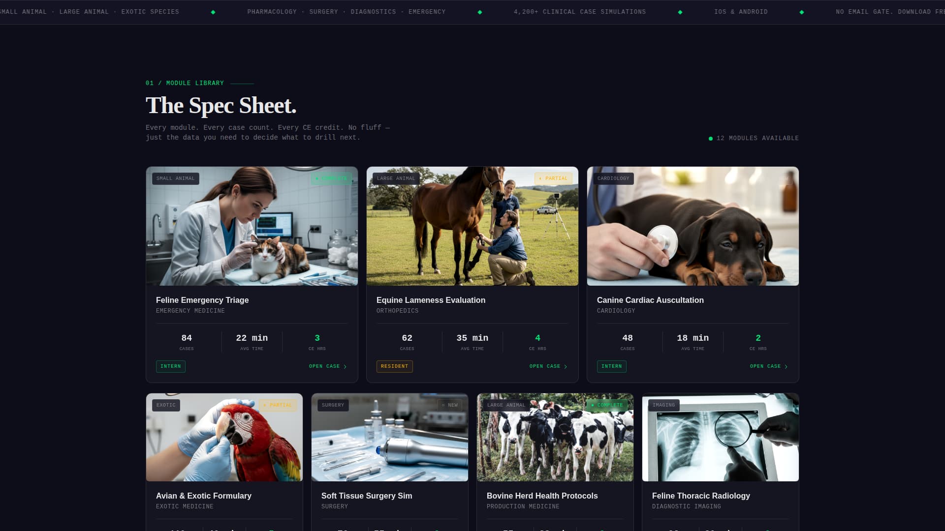 Scrub - Immersive Veterinary Landing Page Template