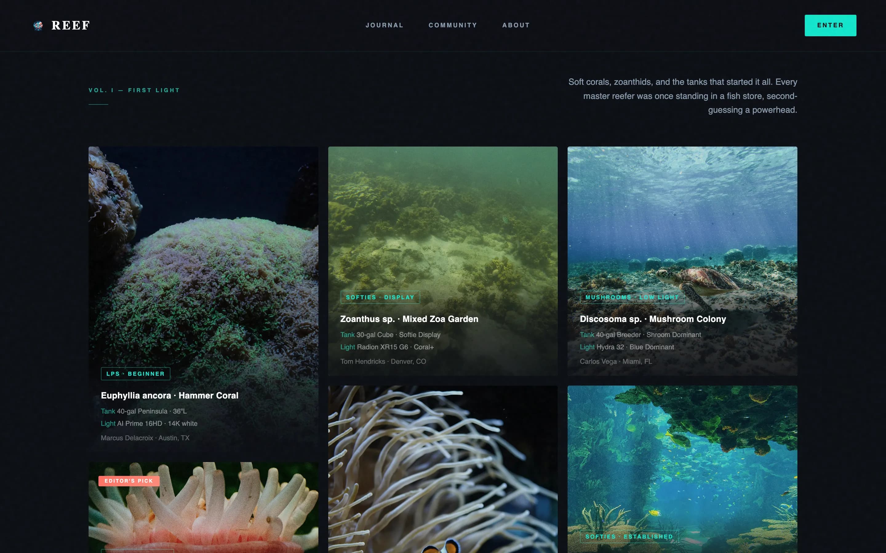Reef - Cinematic Aquarium Landing Page Template