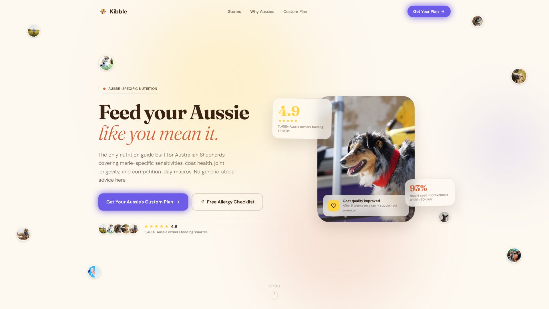 Australian - Premium Shepherd Landing Page Template Template | Build ...