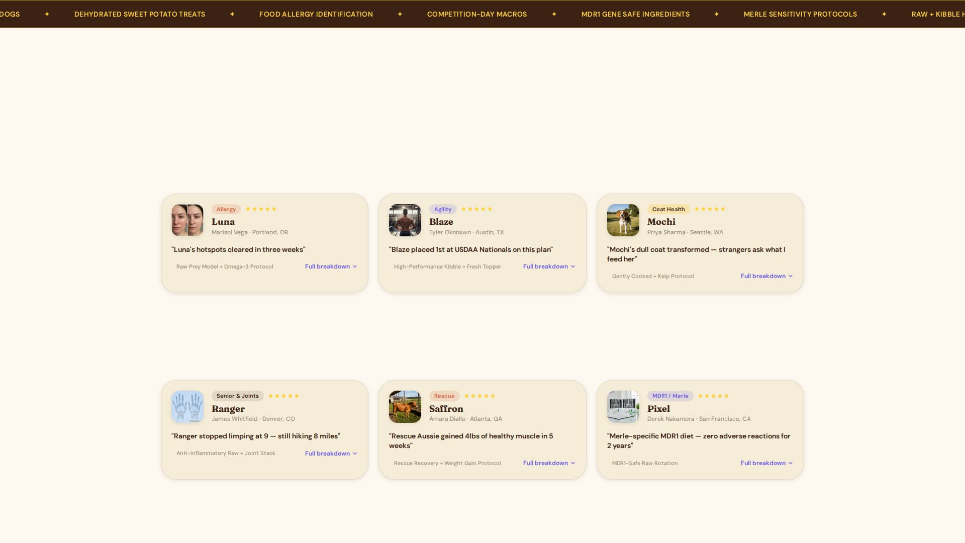 Australian - Premium Shepherd Landing Page Template Template | Build ...