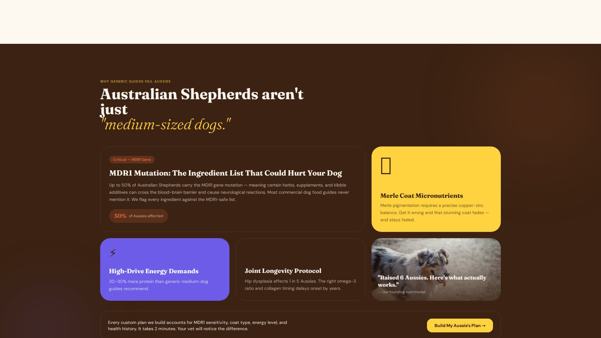 Australian - Premium Shepherd Landing Page Template Template | Build ...